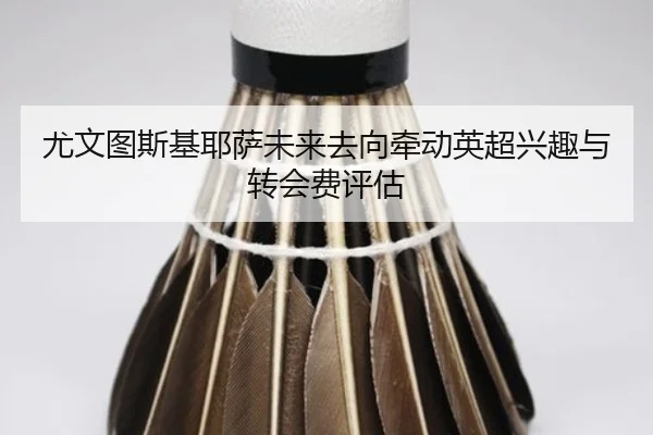 尤文图斯基耶萨未来去向牵动英超兴趣与转会费评估 | kaiyun